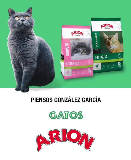 Gatos Piensos González García